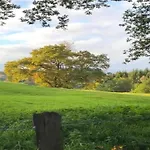 Semesterbostad Hillside Near Coo Fall Stavelot