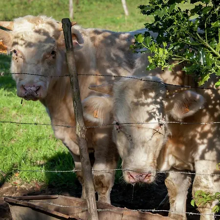 Сasa de vacaciones Hillside Near Coo Fall